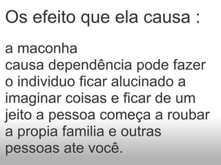 Os efeito que ela causa : a maconha causa dependência pode fazer o individuo ficar alucinado a imaginar coisas e ficar de um jeito a pessoa começa a roubar a propia familia e outras pessoas ate você. 