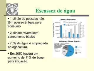Escassez de água
• 1 bilhão de pessoas não
têm acesso à água para
consumo

• 2 bilhões vivem sem
saneamento básico

• 70% da água é empregada
na agricultura.

• Em 2050 haverá um
aumento de 11% de água
para irrigação
 