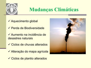 Mudanças Climáticas

 Aquecimento global

 Perda de Biodiversidade

 Aumento na incidência de
desastres naturais

 Ciclos de chuvas alterados

 Alteração do mapa agrícola

 Ciclos de plantio alterados
 