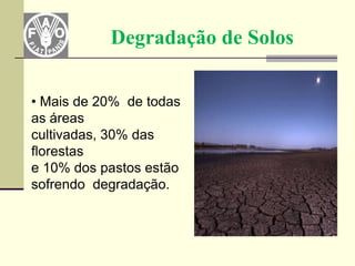 Degradação de Solos


• Mais de 20% de todas
as áreas
cultivadas, 30% das
florestas
e 10% dos pastos estão
sofrendo degradação.
 