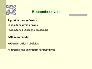 Biocombustíveis

2 pontos para reflexão:
• Disputam terras aráveis
• Disputam a utilização de cereais

FAO recomenda:

• Abandono dos subsídios

• Princípio das vantagens comparativas
 