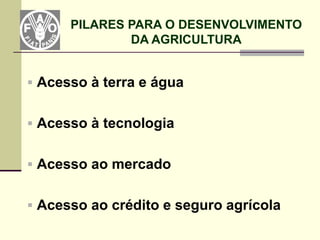 PILARES PARA O DESENVOLVIMENTO
              DA AGRICULTURA


 Acesso à terra e água


 Acesso à tecnologia


 Acesso ao mercado


 Acesso ao crédito e seguro agrícola
 