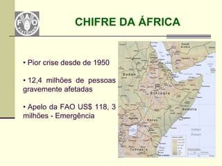 CHIFRE DA ÁFRICA


• Pior crise desde de 1950

• 12,4 milhões de pessoas
gravemente afetadas

• Apelo da FAO US$ 118, 3
milhões - Emergência
 