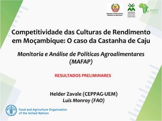 Competitividade das Culturas de Rendimento
em Moçambique: O caso da Castanha de Caju
Monitoria e Análise de Políticas Agroalimentares
(MAFAP)
RESULTADOS PRELIMINARES
Helder Zavale (CEPPAG-UEM)
Luis Monroy (FAO)
 