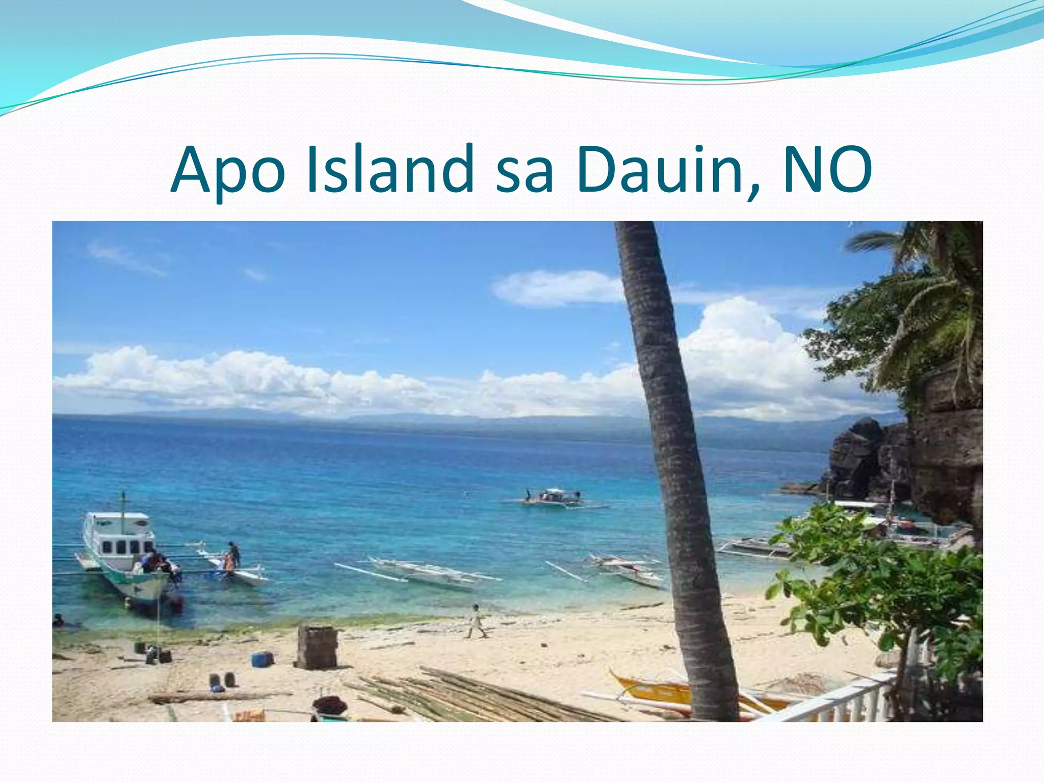 Apo Island sa Dauin, NO
 