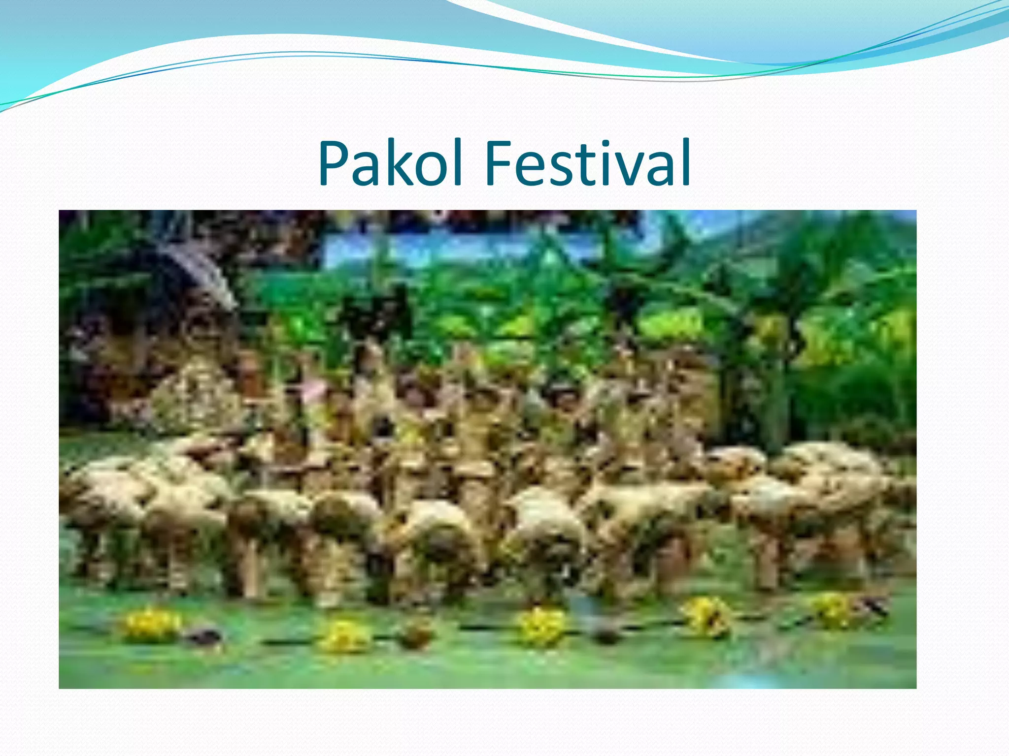 Pakol Festival
 