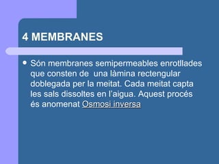 4 MEMBRANES Són membranes semipermeables enrotllades que consten de  una làmina rectengular doblegada per la meitat. Cada meitat capta les sals dissoltes en l’aigua. Aquest procés és anomenat  Osmosi inversa 