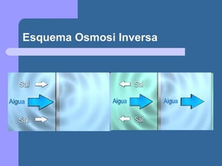 Esquema Osmosi Inversa 