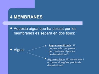 4 MEMBRANES Aquesta aigua que ha passat per les membranes es separa en dos tipus: Aigua: Aigua osmotitzada  :  té   poques sals i pot passar per  continuar el procés de dessalinització. Aigua rebutjada : té masses sals i no passa al següent procés de dessalinització. 