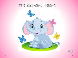The elephant Helena
 