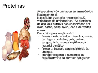 Proteínas As proteínas são um grupo de aminoácidos ligados entre si.  Nas células vivas são encontradas 23 variedades de aminoácidos.  As protéinas de alto valo nutririvo são encontradas em ovos, carne, peixe, aves, leite e derivados e soja. Suas principais funções são: formar a estrutura dos músculos, ossos, cartilagens, cabelos, pele, unhas, sangue, linfa, vasos sangüíneos, e material genético;  formar anticorpos para resistência às doenças;  entregar oxigénio e nutrientes às células através da corrente sanguínea. 