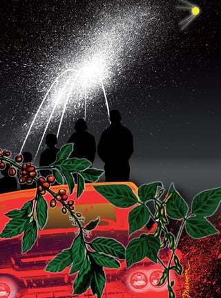 24




REVISTA HELENA
 