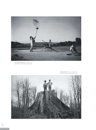 Sítio de Hitoshi Sanada, 1955 | Londrina – PR
                 Haruo Ohara | Acervo Instituto Moreira Salles




                                                                 Cafezal após geada, c. 1940 | Londrina – PR
                                                                 Haruo Ohara | Acervo Instituto Moreira Salles
46




REVISTA HELENA
 