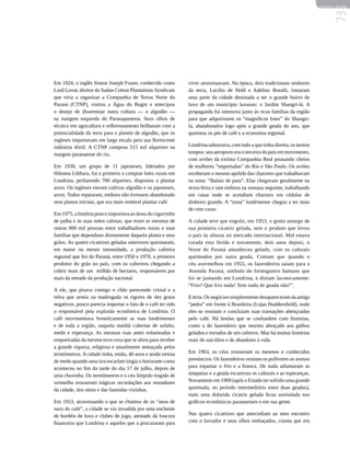 REVISTA HELENA




                                                                                                                                 73
Em 1924, o inglês Simon Joseph Fraser, conhecido como         viver atravessavam. Na época, dois tradicionais senhores
Lord Lovat, diretor da Sudan Cotton Plantations Syndicate     da terra, Lucílio de Held e Adelino Boralli, lotearam
que viria a organizar a Companhia de Terras Norte do          uma parte da cidade destinada a ser o grande bairro de
Paraná (CTNP), visitou a Água do Bugre e antecipou            luxo de um município luxuoso: o Jardim Shangri-lá. A
o desejo de disseminar outra cultura — o algodão —            propaganda foi intensiva junto às ricas famílias da região
na margem esquerda do Paranapanema. Seus olhos de             para que adquirissem os “magníficos lotes” do Shangri-
técnico em agricultura e reflorestamento brilharam com a      lá, abandonados logo após a grande geada do ano, que
potencialidade da terra para o plantio de algodão, que os     queimou os pés de café e a economia regional.
ingleses importavam em larga escala para sua florescente
indústria têxtil. A CTNP comprou 515 mil alqueires na         Londrina saboreava, com tudo a que tinha direito, os áureos
margem paranaense do rio.                                     tempos: seu aeroporto era o terceiro do país em movimento,
                                                              com aviões da extinta Companhia Real pousando cheios
Em 1930, um grupo de 11 japoneses, liderados por              de mulheres “importadas” do Rio e São Paulo. Os aviões
Hikoma Udihara, foi o primeiro a comprar lotes rurais em      receberam o mesmo apelido das charretes que trabalhavam
Londrina, perfazendo 700 alqueires, dispostos a plantar       na zona: “Balaio de puta”. Elas chegavam geralmente na
arroz. Os ingleses vieram cultivar algodão e os japoneses,    sexta-feira e iam embora na semana seguinte, trabalhando
arroz. Todos repararam, embora não tivessem abandonado        em casas onde se acendiam charutos em cédulas de
seus planos iniciais, que era mais rentável plantar café.     dinheiro graúdo. A “zona” londrinense chegou a ter mais
                                                              de cem casas.
Em 1975, a história pouco importava ao dono do cigarrinho
de palha e às suas mãos calosas, que eram as mesmas de        A cidade teve que engolir, em 1953, o gosto amargo de
outras 900 mil pessoas entre trabalhadores rurais e suas      sua primeira cicatriz gelada, sem o produto que levou
famílias que dependiam diretamente daquela planta e seus      o país às alturas no mercado internacional. Mal estava
grãos. As quatro cicatrizes geladas anteriores queimaram,     curada esta ferida e novamente, dois anos depois, o
em maior ou menor intensidade, a produção cafeeira            Norte do Paraná amanheceu gelado, com os cafezais
regional que fez do Paraná, entre 1950 e 1970, o primeiro     queimados por outra geada. Contam que quando o
produtor do grão no país, com os cafeeiros chegando a         céu avermelhou em 1955, os fazendeiros saíam para a
cobrir mais de um milhão de hectares, responsáveis por        Avenida Paraná, símbolo do formigueiro humano que
mais da metade da produção nacional.                          foi se juntando em Londrina, e diziam laconicamente:
                                                              “Frio? Que frio nada! Tem nada de geada não!”.
A ele, que pisava comigo o chão parecendo cristal e a
relva que sentiu na madrugada os rigores de dez graus         E teria. Os negócios simplesmente desapareceram da antiga
negativos, pouco parecia importar o fato de o café ter sido   “pedra” em frente à Brasileira (Lojas Huddersfield), onde
o responsável pela explosão econômica de Londrina. O          eles se reuniam e concluíam suas transações abençoadas
café movimentava freneticamente as ruas londrinenses          pelo café. Há lendas que se confundem com histórias,
e de toda a região, naquela manhã cobertas de asfalto,        como a do fazendeiro que morreu abraçado aos galhos
medo e esperança. As mesmas ruas antes enlameadas e           gelados e torrados de um cafeeiro. Mas há muitas histórias
empoeiradas da mesma terra roxa que se abriu para receber     reais de suicídios e de abandono à vida.
a grande riqueza, religiosa e anualmente ameaçada pelos
termômetros. A cidade tinha, então, 40 anos e ainda tremia    Em 1963, os céus trouxeram os mesmos e conhecidos
de medo quando uma tira escarlate tingia o horizonte como     prenúncios. Os fazendeiros vestiam os pulôveres ao avesso
aconteceu no fim da tarde do dia 17 de julho, depois de       para espantar o frio e a branca. De nada adiantaram as
uma chuvinha. Os termômetros e o céu límpido tingido de       simpatias e a geada escureceu os cafezais e as esperanças.
vermelho trouxeram trágicas recordações aos moradores         Novamente em 1969 (após o Estado ter sofrido uma grande
da cidade, dos sítios e das fazendas vizinhas.                queimada, no período intermediário entre duas geadas),
                                                              mais uma dolorida cicatriz gelada ficou assinalada nos
Em 1953, atravessando o que se chamou de os “anos de          gráficos econômicos paranaenses e em sua gente.
ouro do café”, a cidade se viu invadida por uma enchente
de bordéis de luxo e clubes de jogo, atestado da loucura      Nas quatro cicatrizes que antecediam ao meu encontro
financeira que Londrina e aqueles que a procuraram para       com o lavrador e seus olhos embaçados, consta que era
 
