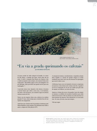 REVISTA HELENA




                                                                                                                                                         75
                                                                                       Cafezal atingido pela geada de 1975.
                                                                                       Autor R.Kretch | Acervo Museu Histórico da UEL




“Eu via a geada queimando os cafezais”
                                  por Ricardo Kotscho



Já estava saindo da velha redação do Estadão, no centro              A sensação de tristeza, inconformismo e impotência diante
de São Paulo, a caminho dos bares. Eram umas dez da                  desta tragédia é a mesma de quando chegava ao sertão
noite. O chefe e compadre Raul Bastos me chamou e deu                nordestino para fazer mais uma das dezenas de reportagens
a ordem secamente como sempre, sem maiores firulas nem               que escrevi sobre a seca.
explicações: “Ricardinho, pega o carro e um fotógrafo e vai
pra Maringá. Estão prevendo uma geada terrível para esta             A diferença é que a seca vai matando a lavoura e a esperança
madrugada...”.                                                       aos poucos, é uma tristeza sem começo nem fim. A geada é
                                                                     um tiro só, disparado do céu por um canhão que gela tudo
A previsão estava certa. Quando o dia clareou e levantou             de repente, em silêncio, no escuro da noite.
a nuvem branca que cobria a terra roxa, o sol iluminou,
até onde a vista alcançava, um cemitério negro de imensos            Apenas as vítimas das secas e das geadas é que são sempre
cafezais mortos de frio.                                             as mesmas: os milhões de lavradores brasileiros que ainda
                                                                     sobrevivem da terra e têm seu destino nas mãos dos bons ou
Nunca vou me esquecer desta cena, embora já se tenham                maus humores da natureza. Para enfrentá-los, só com muita
passado 37 anos, muito tempo para a memória fraca de um              reza. Às vezes, dá certo, mas nem sempre...
repórter de antigamente.
                                                                     Vida que segue.
Ainda bem que a história toda foi guardada na lembrança pelo
Nilson Monteiro e está contada no seu belíssimo texto sobre o
antes e o depois do 18 de julho de 1975.




                                                        Ricardo Kotscho, jornalista desde 1964, recebeu quatro vezes o Prêmio Esso de Jornalismo,
                                                        passou pelas redações de O Estado de S. Paulo, Folha de S. Paulo, entre outros jornais
                                                        e revistas. Esteve à frente da Secretaria de Imprensa e Divulgação da Presidência da
                                                        República do governo Lula de 2003 a 2004.
 