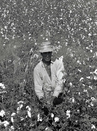 Bóias Frias
76




REVISTA HELENA
 