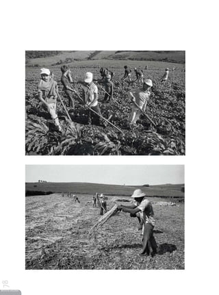 78




REVISTA HELENA
 