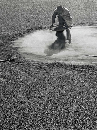 80




REVISTA HELENA
 