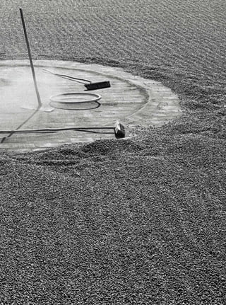 REVISTA HELENA




     81
 