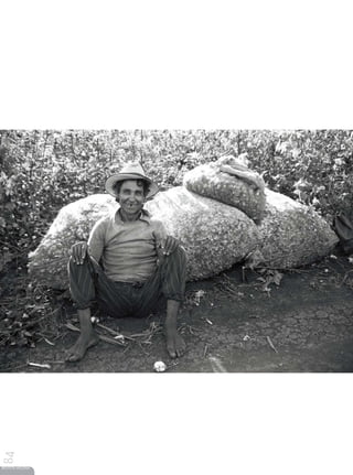 84




REVISTA HELENA
 