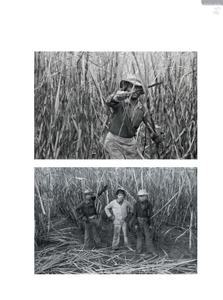 REVISTA HELENA




     85
 