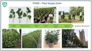 PHMS – Plant Supply Chain
Propagation
material
Trade & movement of
propagation material
Propagation
facility
Growing of
plants
Trade and
movement of
plants
Plants in the
landscape guidance documents
 