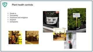Plant health controls
• Goods in
• Traceability
• Treatment and mitigation
• Dispatch
• Complaints
 