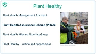 Plant Healthy
Plant Health Management Standard
Plant Healthy – online self assessment
Plant Health Assurance Scheme (PHAS)
Plant Health Alliance Steering Group
Plant Health Assurance Scheme test audit
 