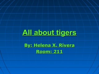 All about tigers
By: Helena X. Rivera
     Room: 211
 