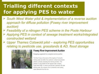 Trialling different contexts
for applying PES to water
 South West Water pilot & implementation of a reverse auction
approach for diffuse pollution (Fowey river improvement
auction)
 Feasibility of a nitrogen PES scheme in the Poole Harbour
 Applying PES in context of sewage treatment works/integrated
constructed wetland
 Upper Thames Cotswold pilot – exploring PES opportunities
relating to pesticide use, grasslands & AD, flood storage

 
