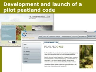Development and launch of a
pilot peatland code

 