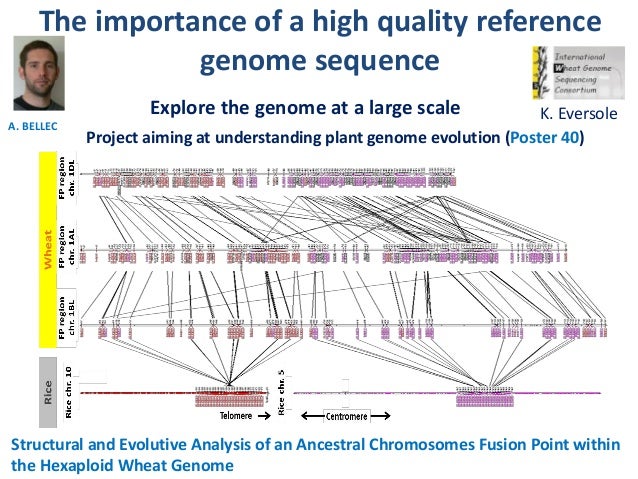 PLANT GENOME STRUCTURE PDF DOWNLOAD PLANT GENOME STRUCTURE PDF DOWNLOAD