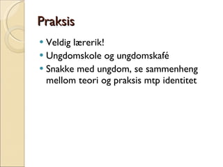 Praksis Veldig lærerik! Ungdomskole og ungdomskafé Snakke med ungdom, se sammenheng mellom teori og praksis mtp identitet 