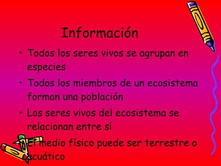 Información Todos los seres vivos se agrupan en especies  Todos los miembros de un ecosistema forman una población Los seres vivos del ecosistema se relacionan entre sí El medio físico puede ser terrestre o acuático 