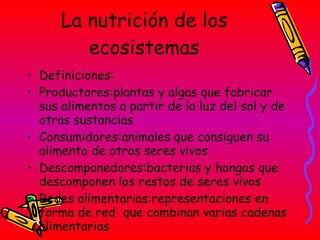 La nutrición de los ecosistemas Definiciones: Productores:plantas y algas que fabricar sus alimentos a partir de la luz del sol y de otras sustancias Consumidores:animales que consiguen su alimento de otros seres vivos Descomponedores:bacterias y hongos que descomponen los restos de seres vivos Redes alimentarias:representaciones en forma de red  que combinan varias cadenas alimentarias 