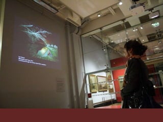 Co-production: Visitors, Knowledge and Politics for CETAID