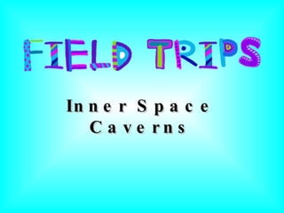 Inner Space Caverns 