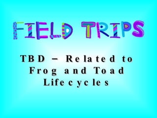 TBD – Related to Frog and Toad Lifecycles 