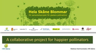 Skåne is blossoming - Mattias Hammarstedt