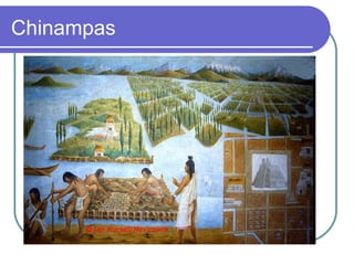 Chinampas
 
