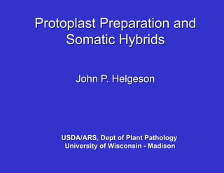 John P. Helgeson
USDA/ARS, Dept of Plant Pathology
University of Wisconsin - Madison
Protoplast Preparation and
Somatic Hybrids
 