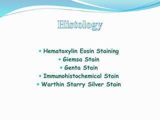  Hematoxylin Eosin Staining
 Giemsa Stain
 Genta Stain
 Immunohistochemical Stain
 Warthin Starry Silver Stain
 