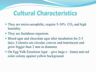  They are micro-aerophilic, require 5-10% CO2 and high
humidity.
 They are fastidious organism.
 Blood agar and chocolate agar after incubation for 2-5
days. Colonies are circular, convex and translucent and
grow bigger than 2 mm in diameter.
 On Egg Yolk Emulsion Agar – give large (~ 3mm) and red
color colony against yellow background.
 