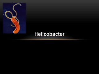 Helicobacter
 