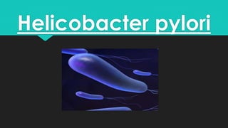 Helicobacter pylori 
 