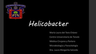 Helicobacter
María Laura del Toro Chávez
Centro Universitario de Tonalá
Médico Cirujano y Partero
Microbiología y Parasitología
Dra. Laura Margarita Salcedo
 