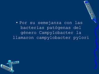 Por su semejanza con las bacterias patógenas del género Campylobacter la llamaron campylobacter pylori 