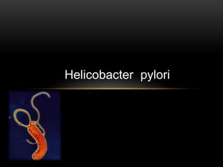 Helicobacter pylori
 
