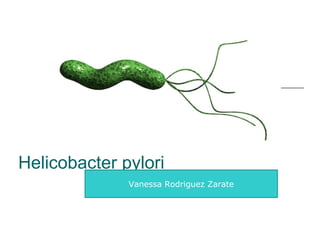 Helicobacter pylori a Rodrigu ez Zarate Vanessa Rodriguez Zarate 
