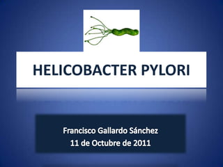 HELICOBACTER PYLORI Francisco Gallardo Sánchez 11 de Octubre de 2011 